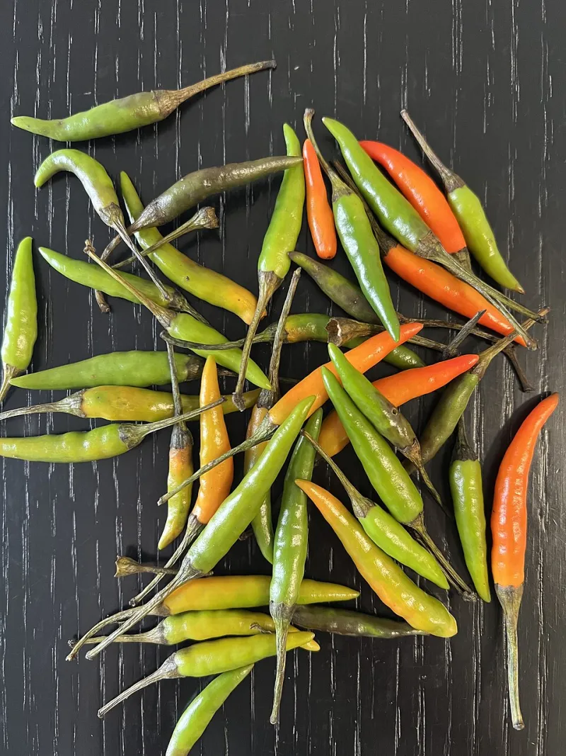 No Habanero? No Problem: A Heat Lover's Guide to Swapping Chili Peppers Like a Pro