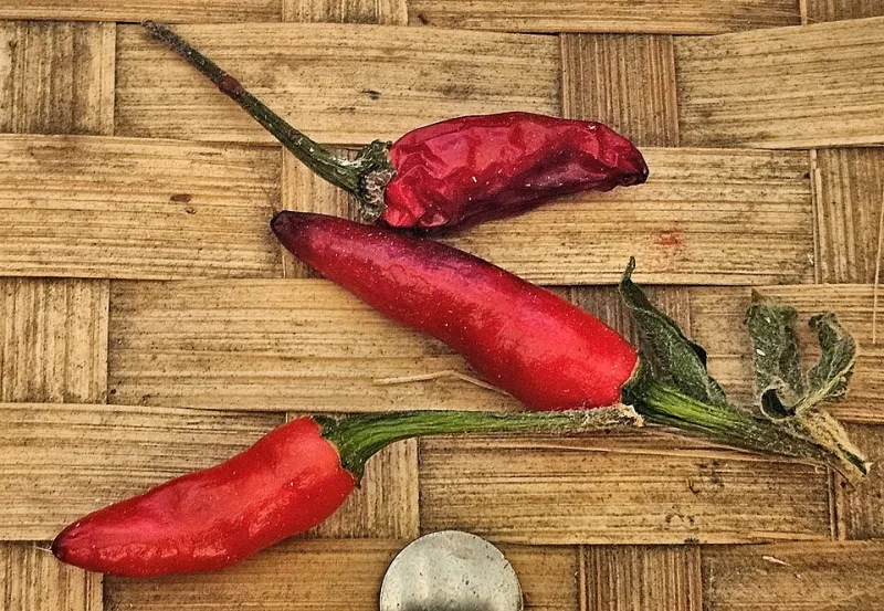 Zero to Scorching: How to Train Your Palate to Handle Serious Heat